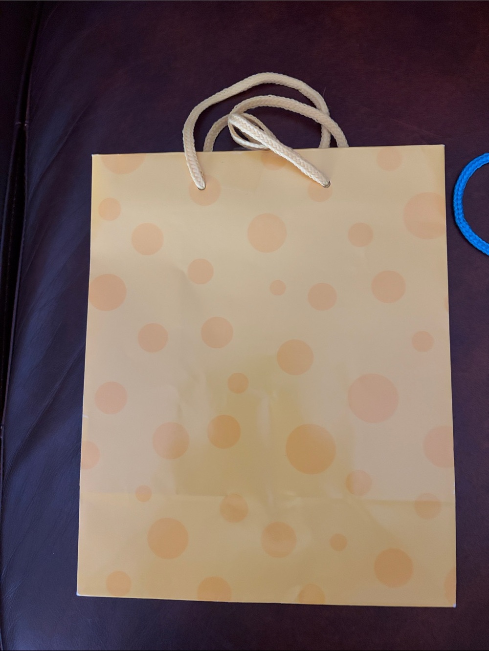 Assorted Colorful Gift Bags - Multi-Color - Picture 7 of 12